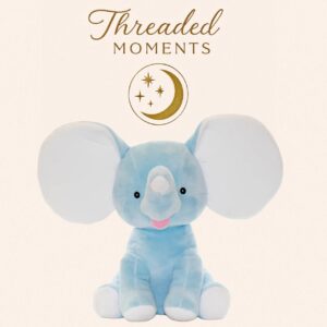 Blue Dumble Teddy Bear